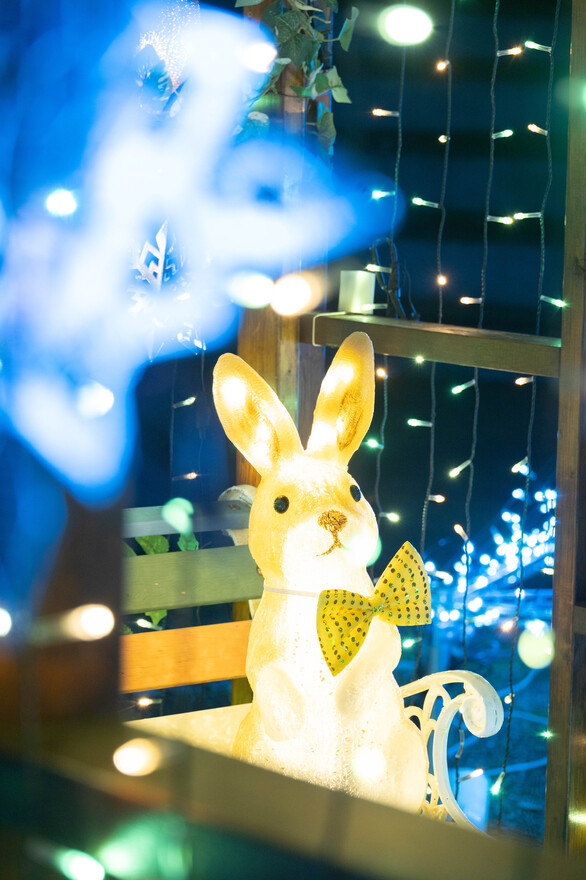 光のウサギ