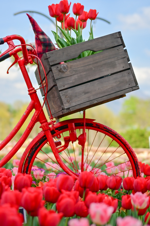 お届けものです