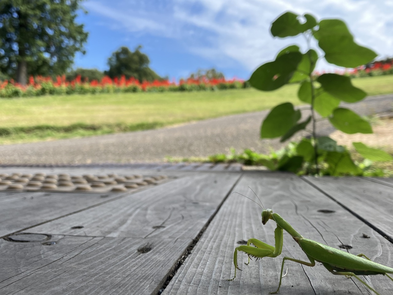 愛しい君はどこかなぁ