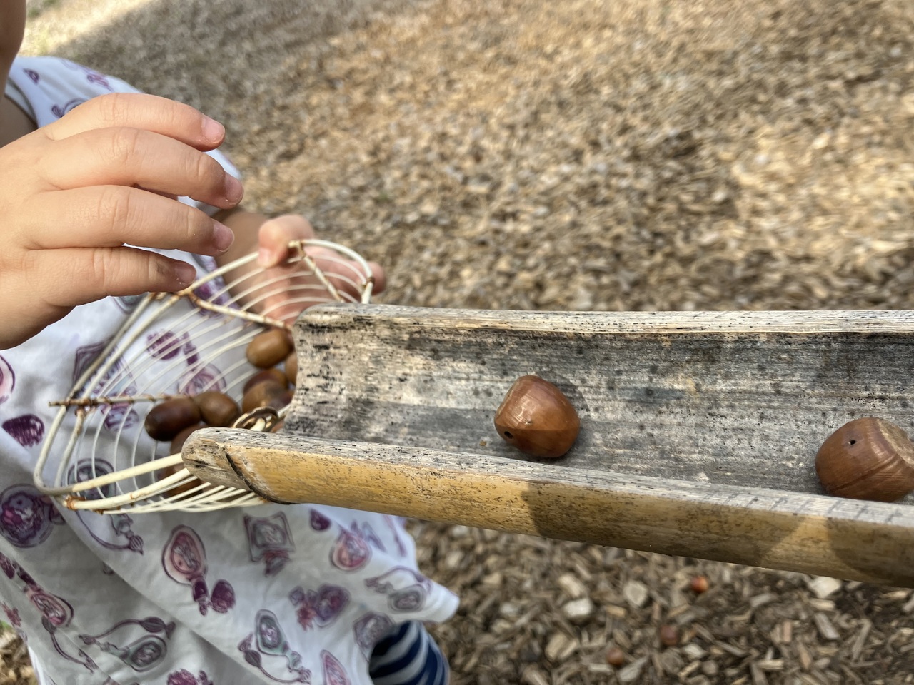 どんぐりころころどんぐりころん