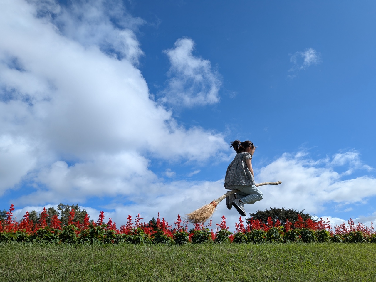 我が家の魔女は低空飛行