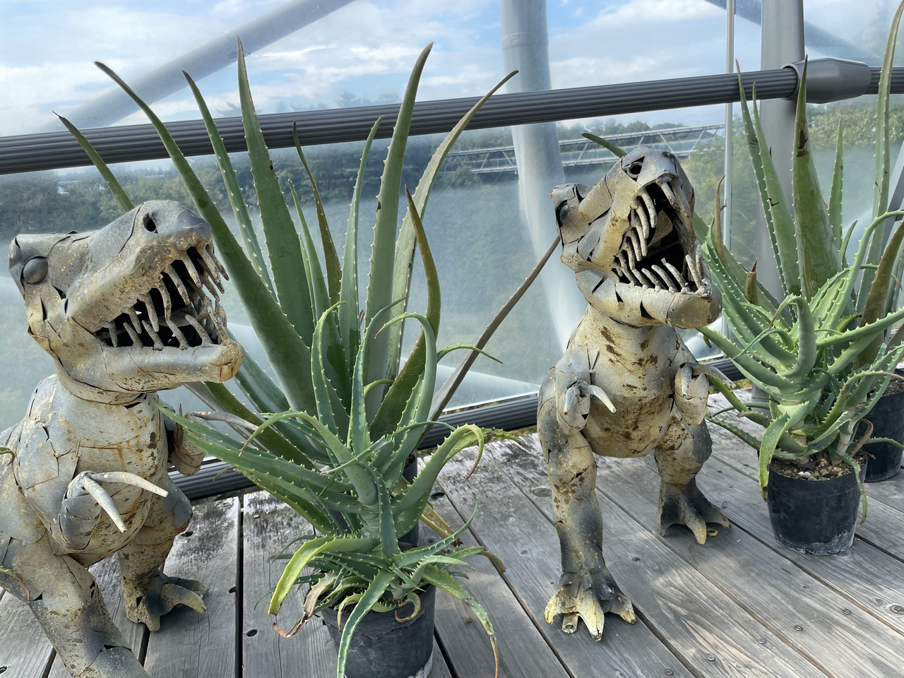 いただきます！！