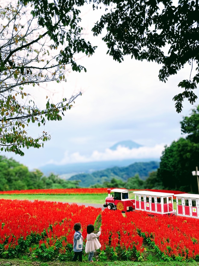 手をふる小さな旅人たち