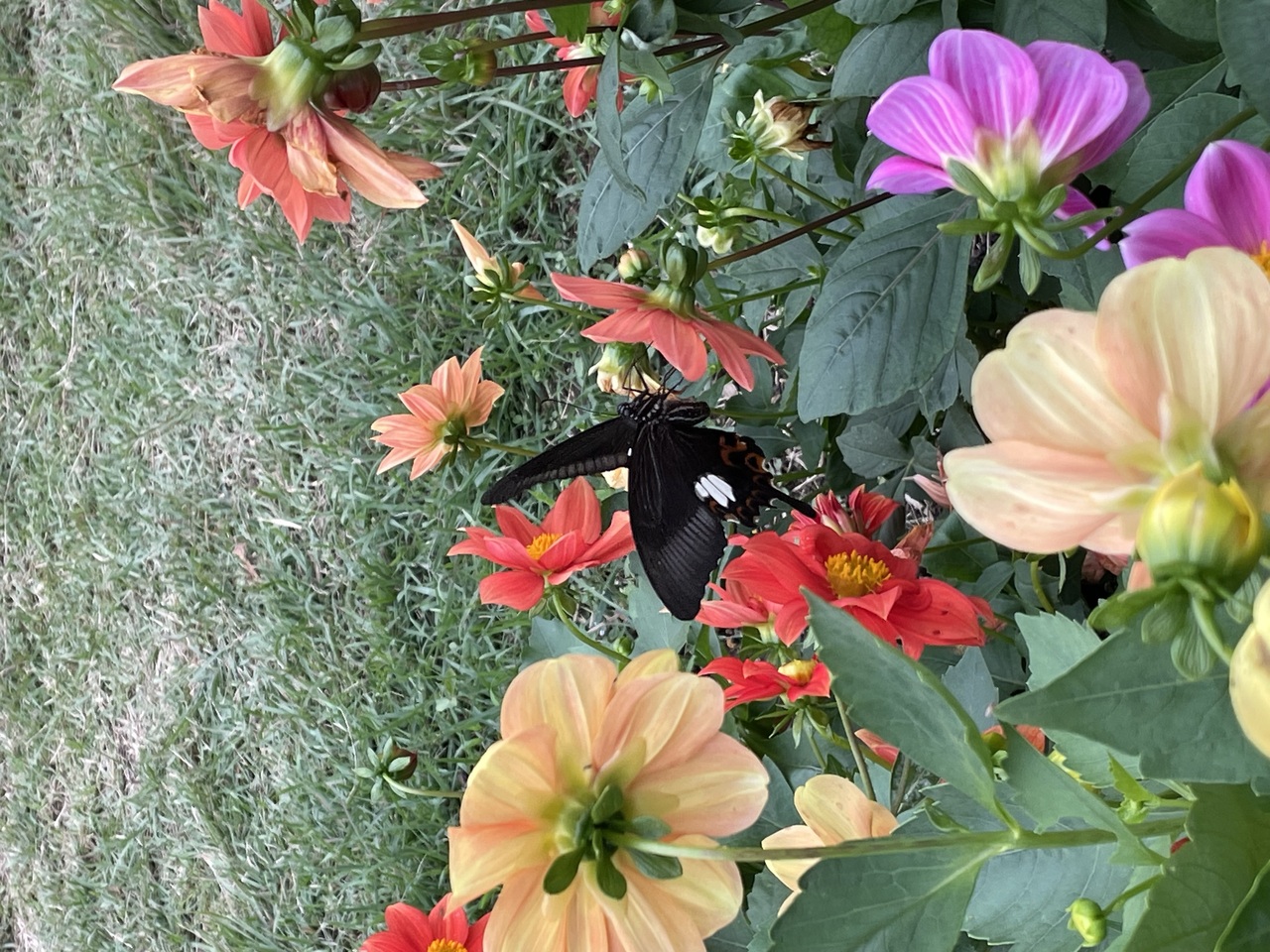 私にもとまって、