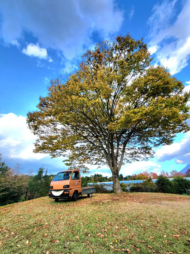 秋のピクニック