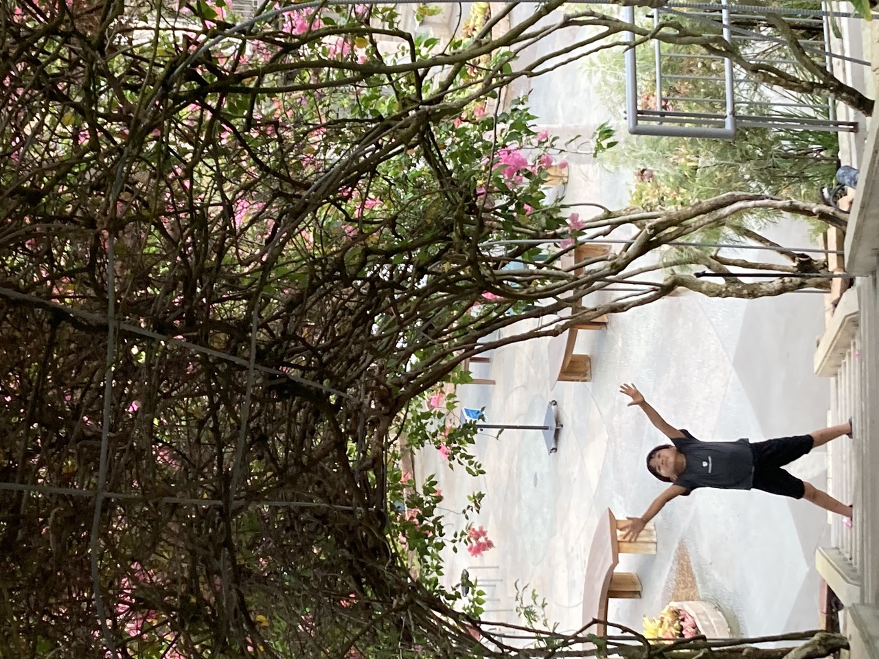 トンネルの上までとどくかな？！