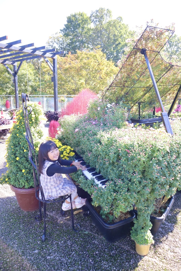 ピアノコンサート