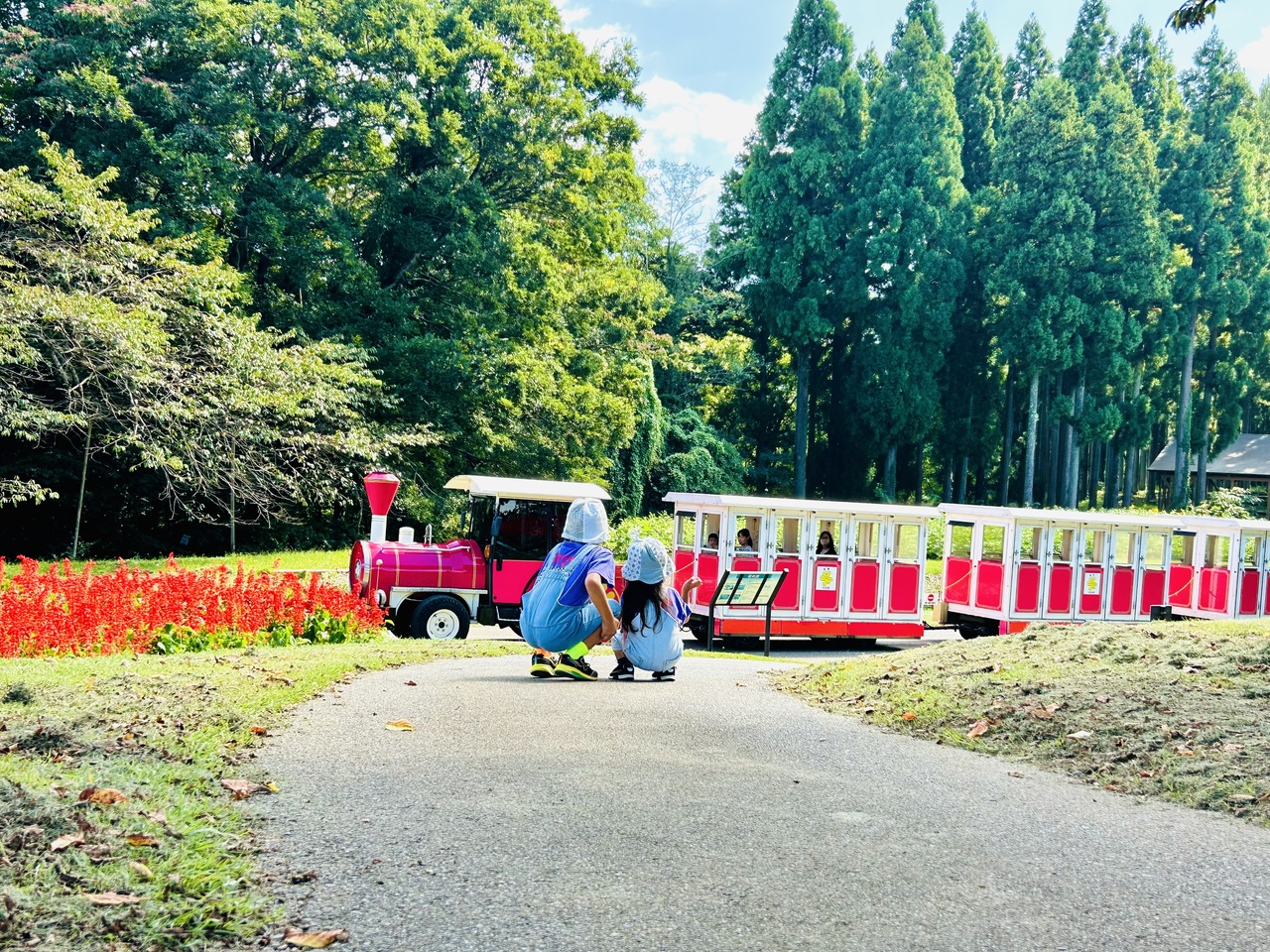 見て！電車が通ったね！