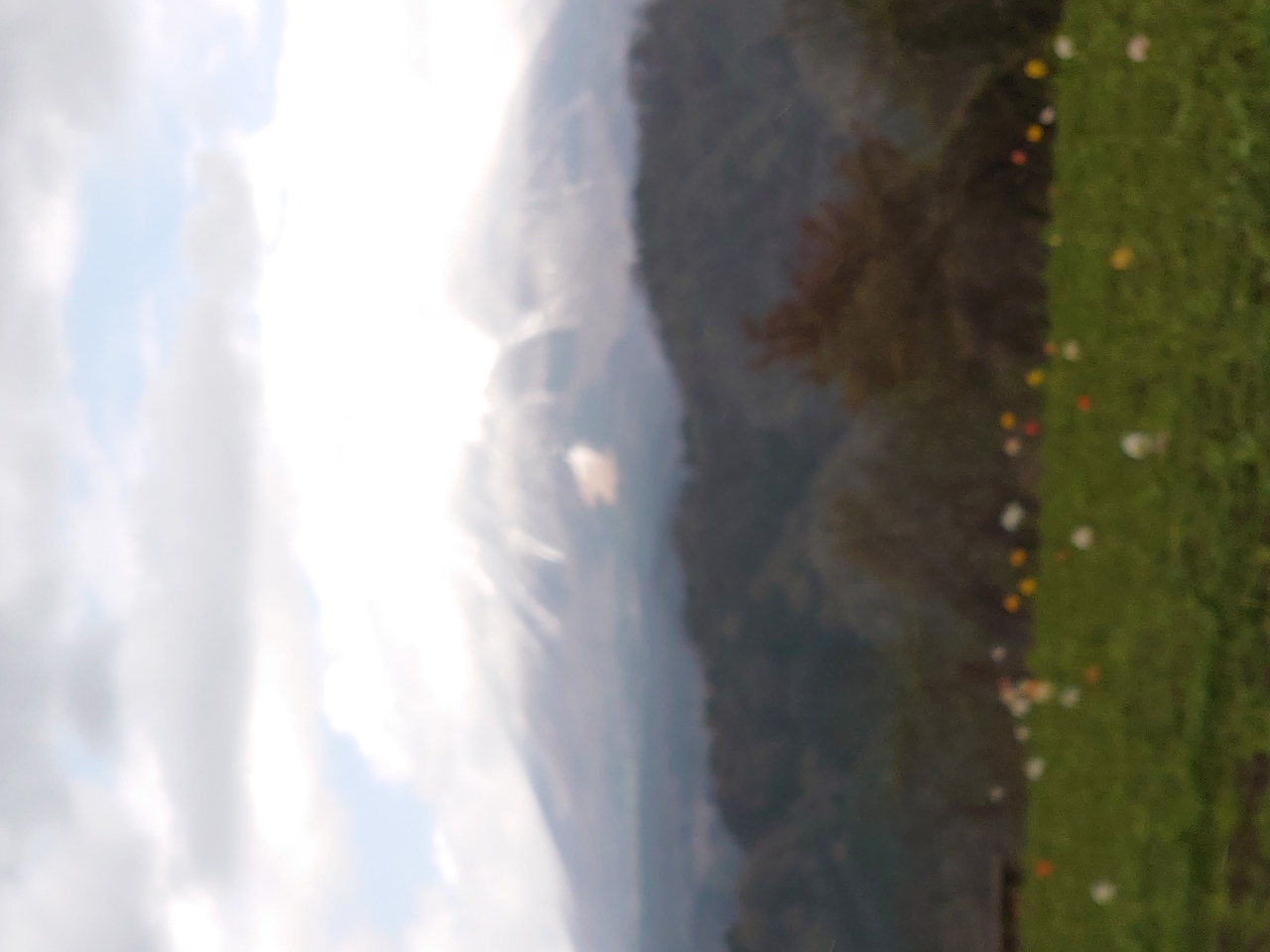 雨のベールに包まれて