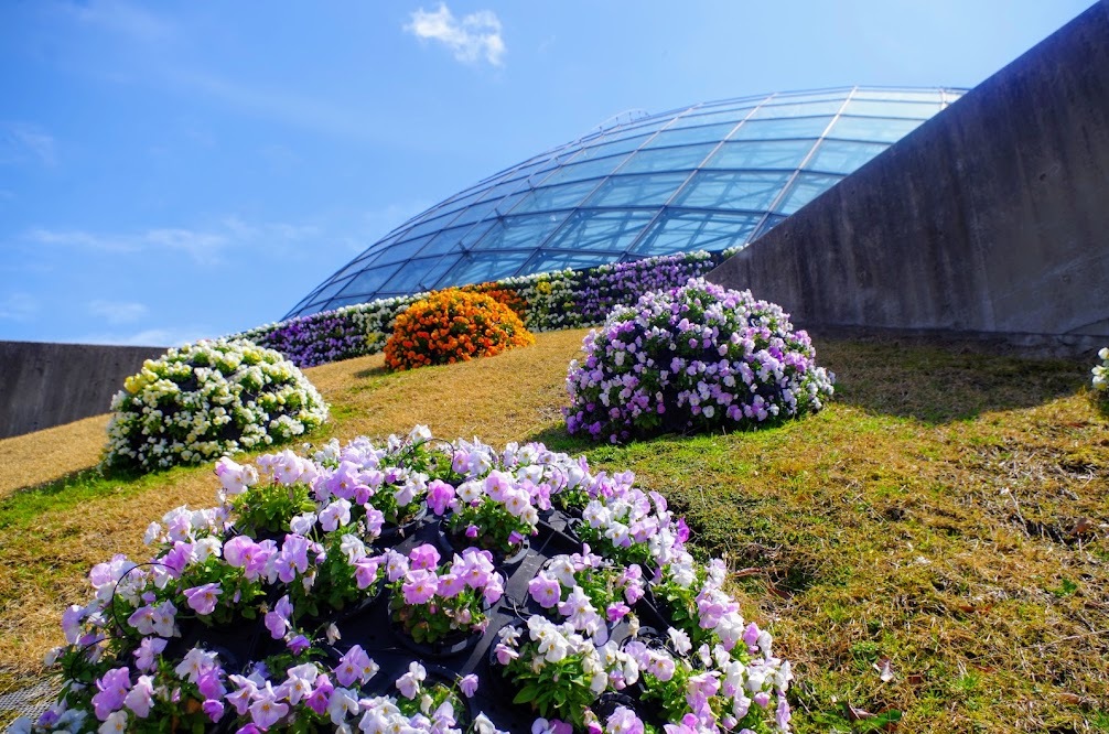 自然の魅力はここから
