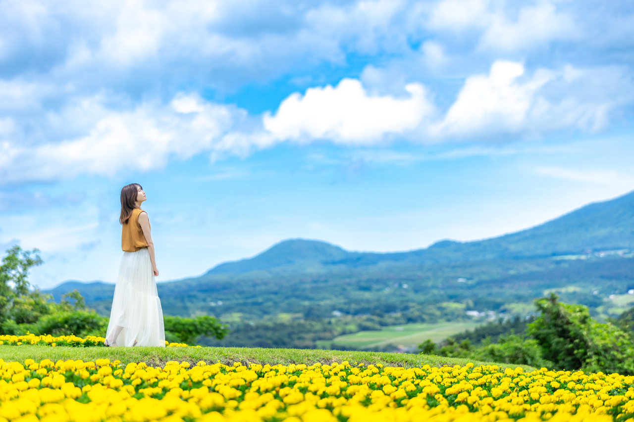 初夏の風を感じて