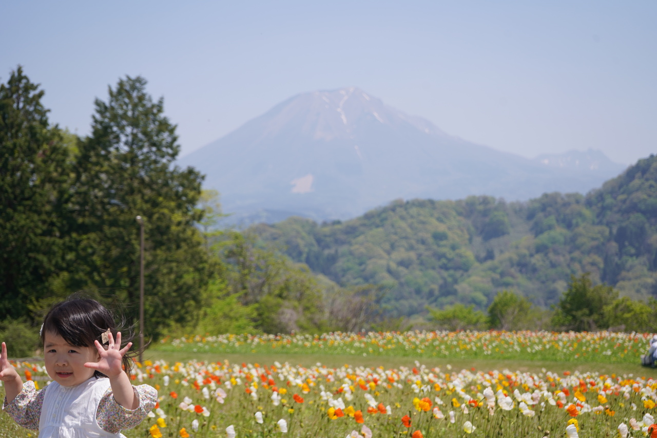 わたしのお気に入り