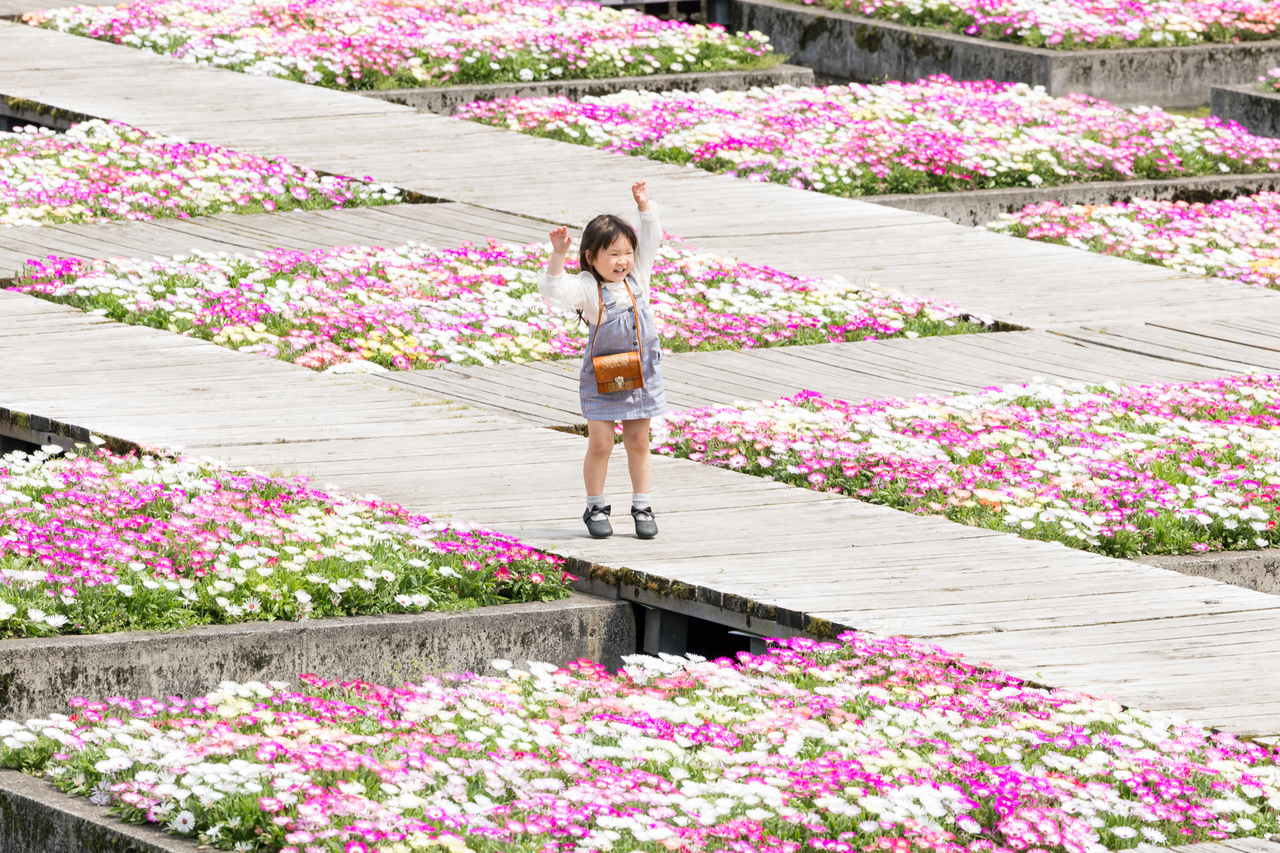 ピンクのお花大好き