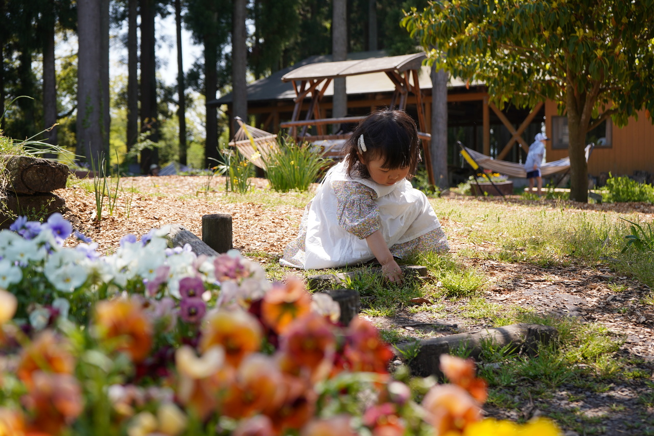 ダンゴムシさん、あーそーぼっ！