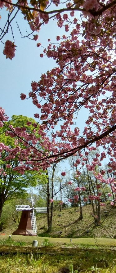小人から見た風景