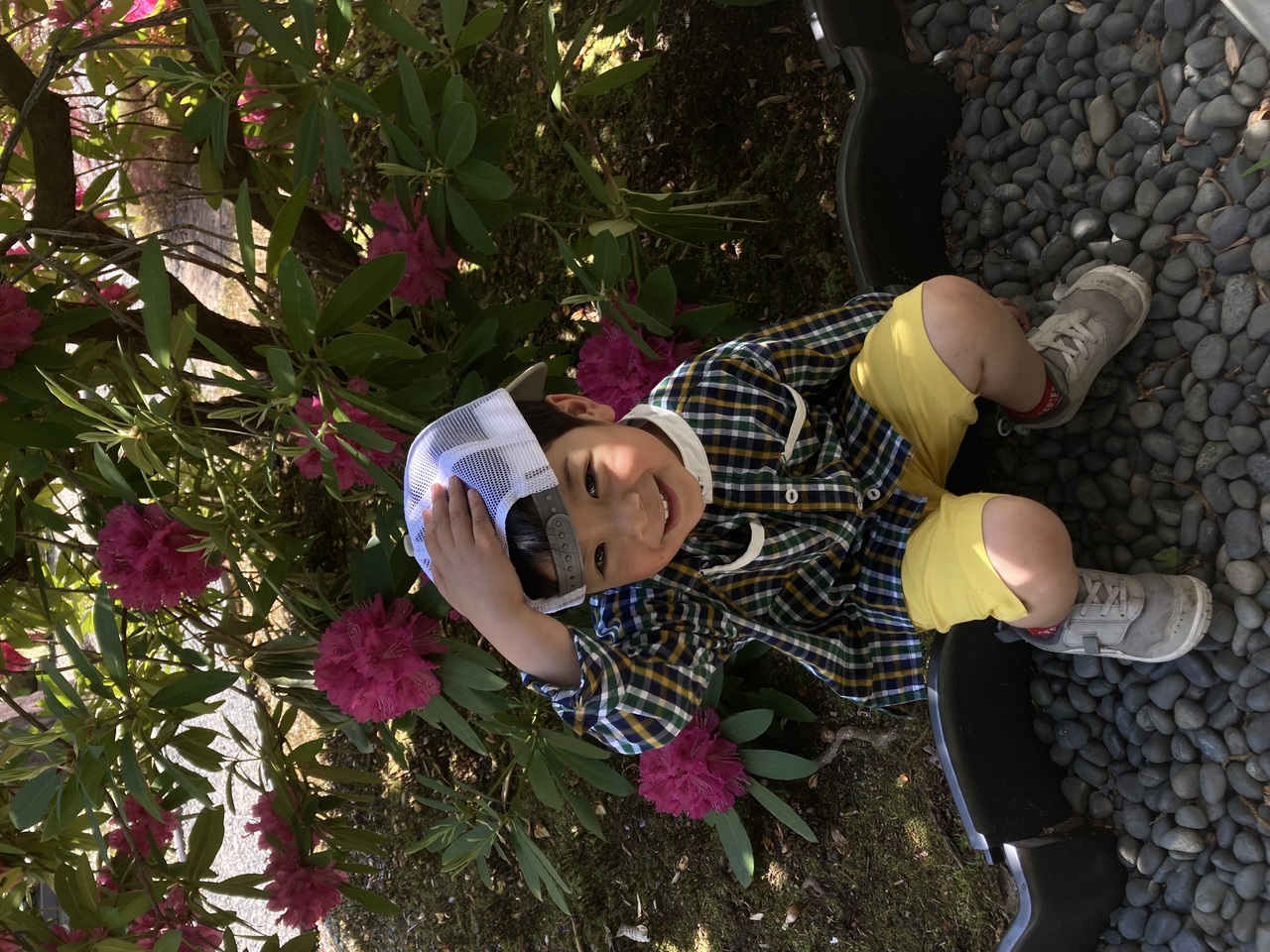 初めてのとっとり花回廊