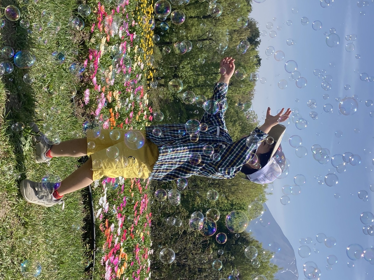 たくさんのお花とたくさんのシャボン玉