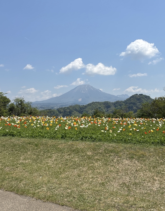 微笑み合う大山と花