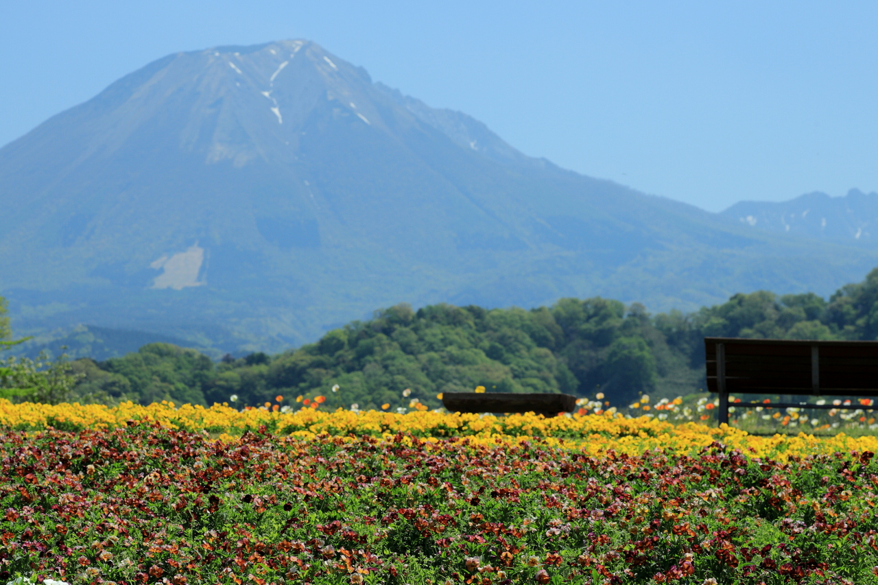 とっとりと言えば　花と大山