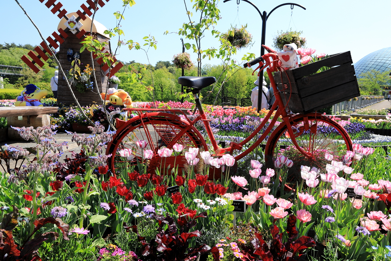 サイクリングの途中で