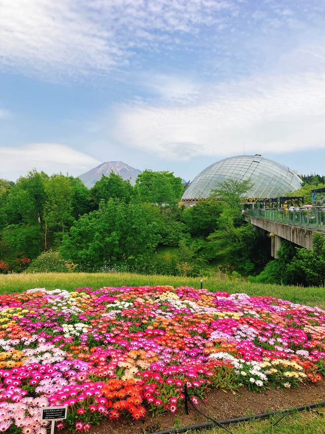 春のとっとり花回廊