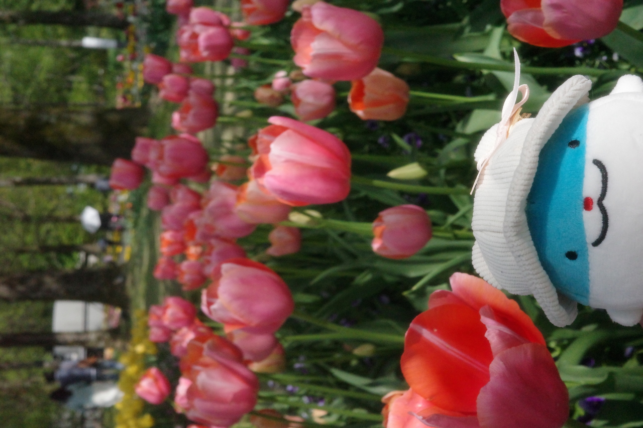 ぽかぽかお出かけ日和