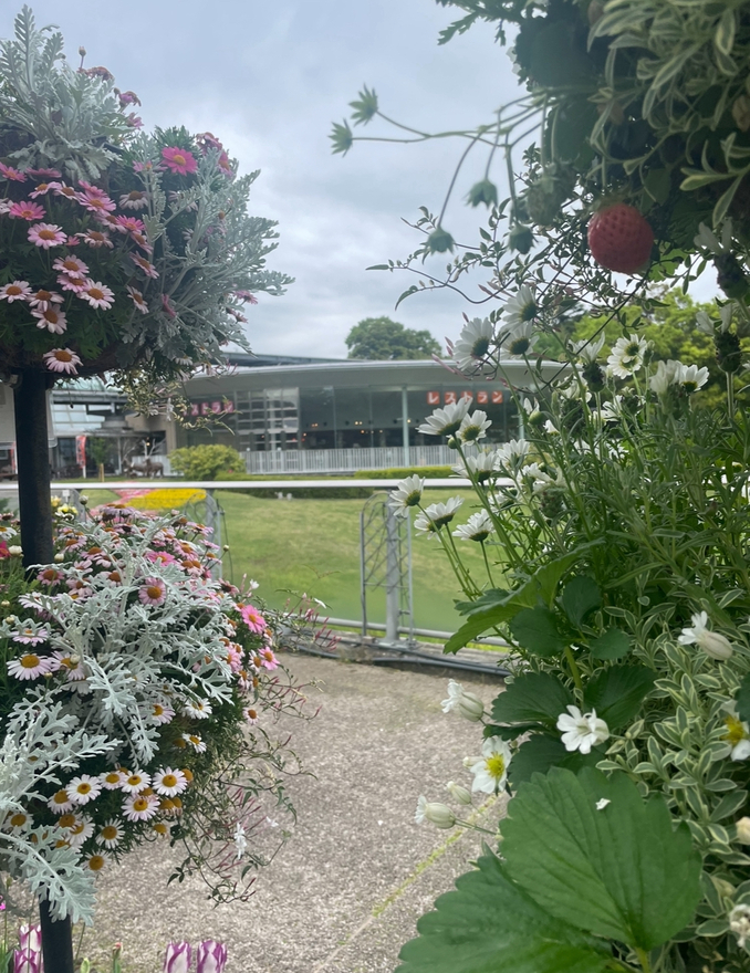 いちご、み〜つけた！