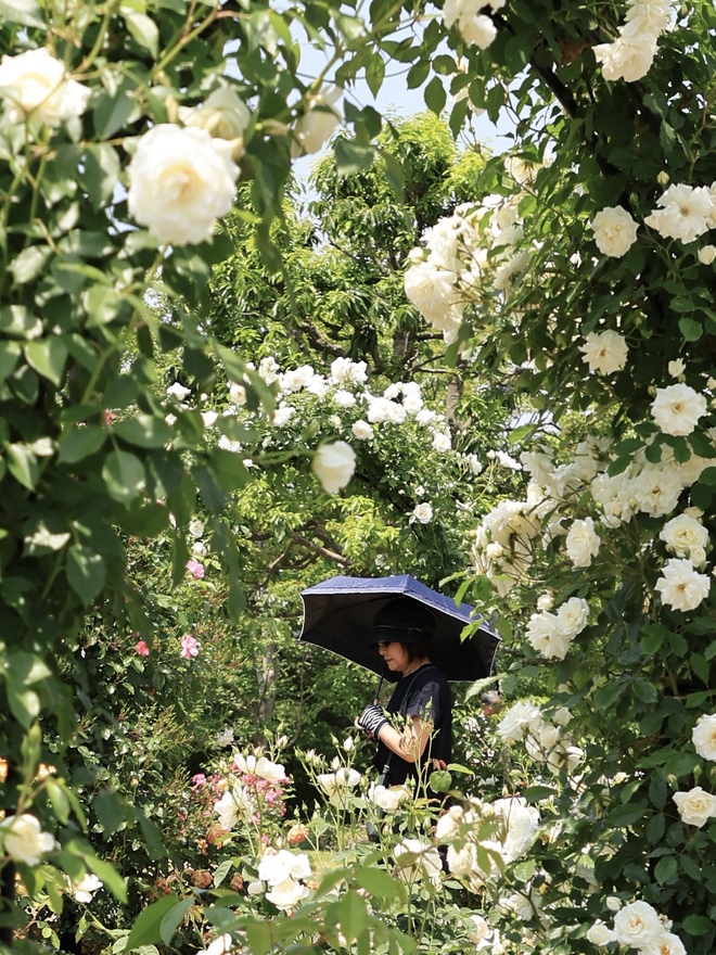 至福のひととき