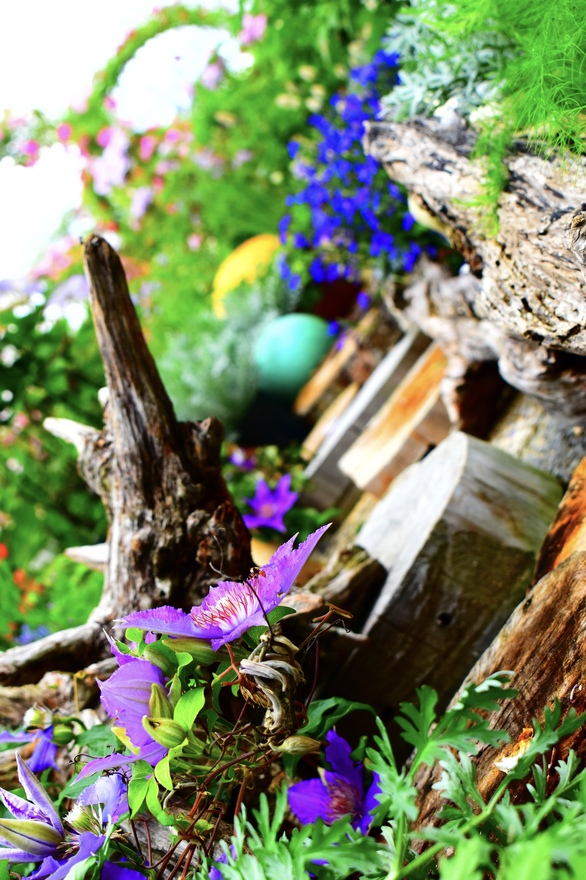 小さな森の入り口